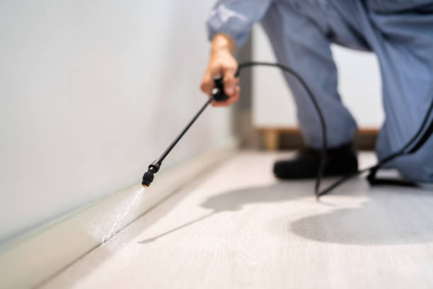 Licensed Termite Control service in Great Notch, NJ - Nex Pest Control