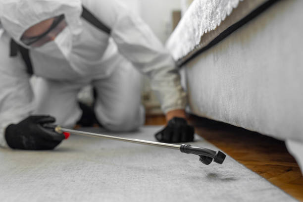 Professional Termite Control technician working in Great Notch, NJ