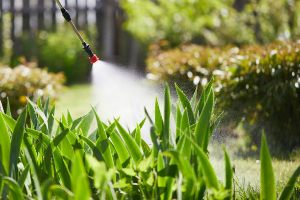 24/7 Emergency Termite Control experts in Great Notch, NJ