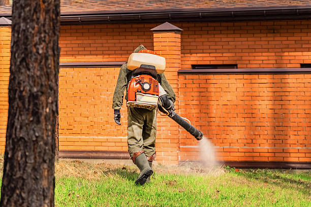 Trusted Termite Control service in Great Notch, NJ - Nex Pest Control